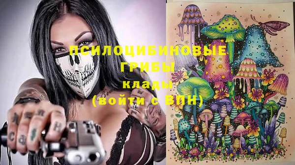 соль ск Верея